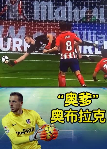 更多精彩的