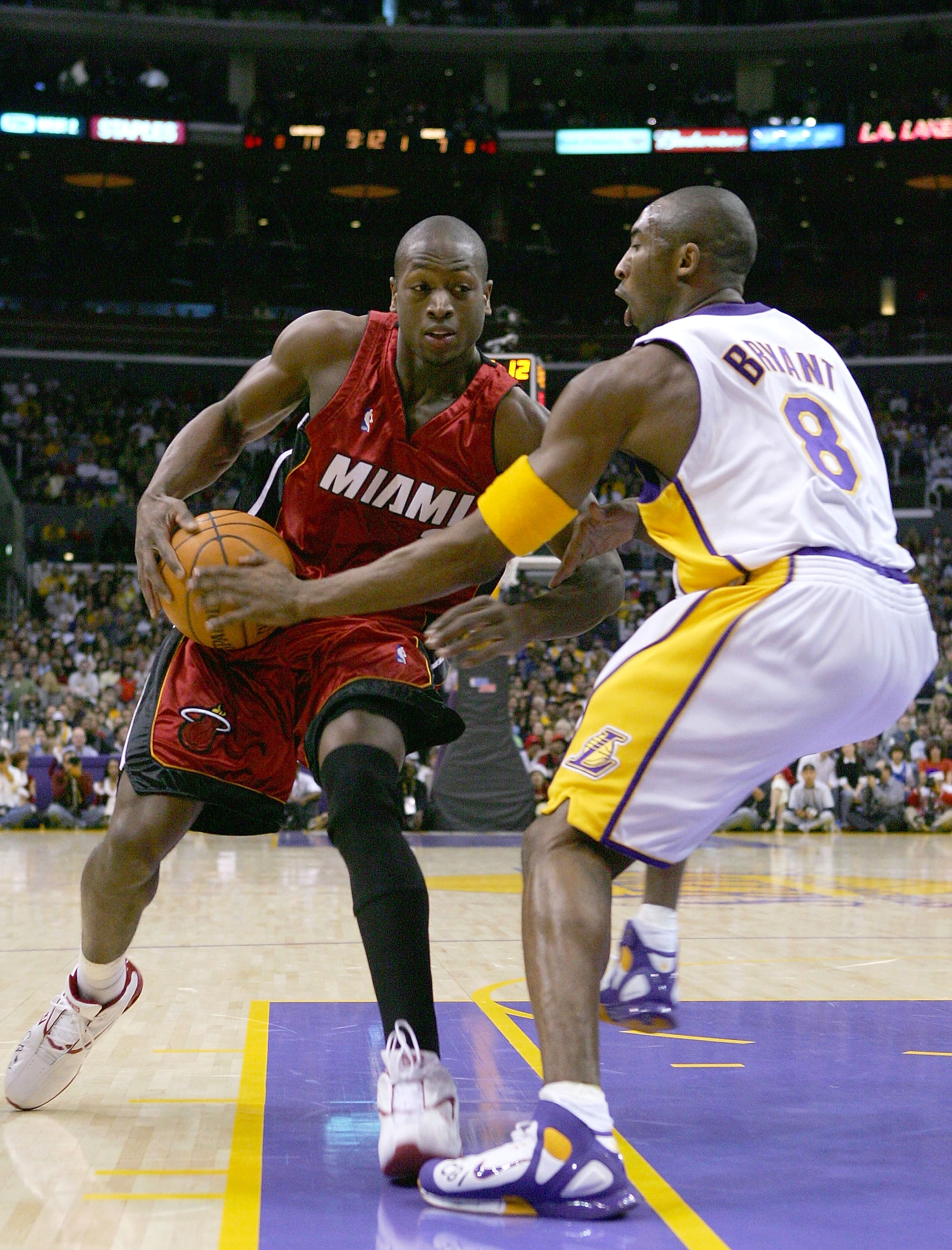 的强对抗属 的强对抗属