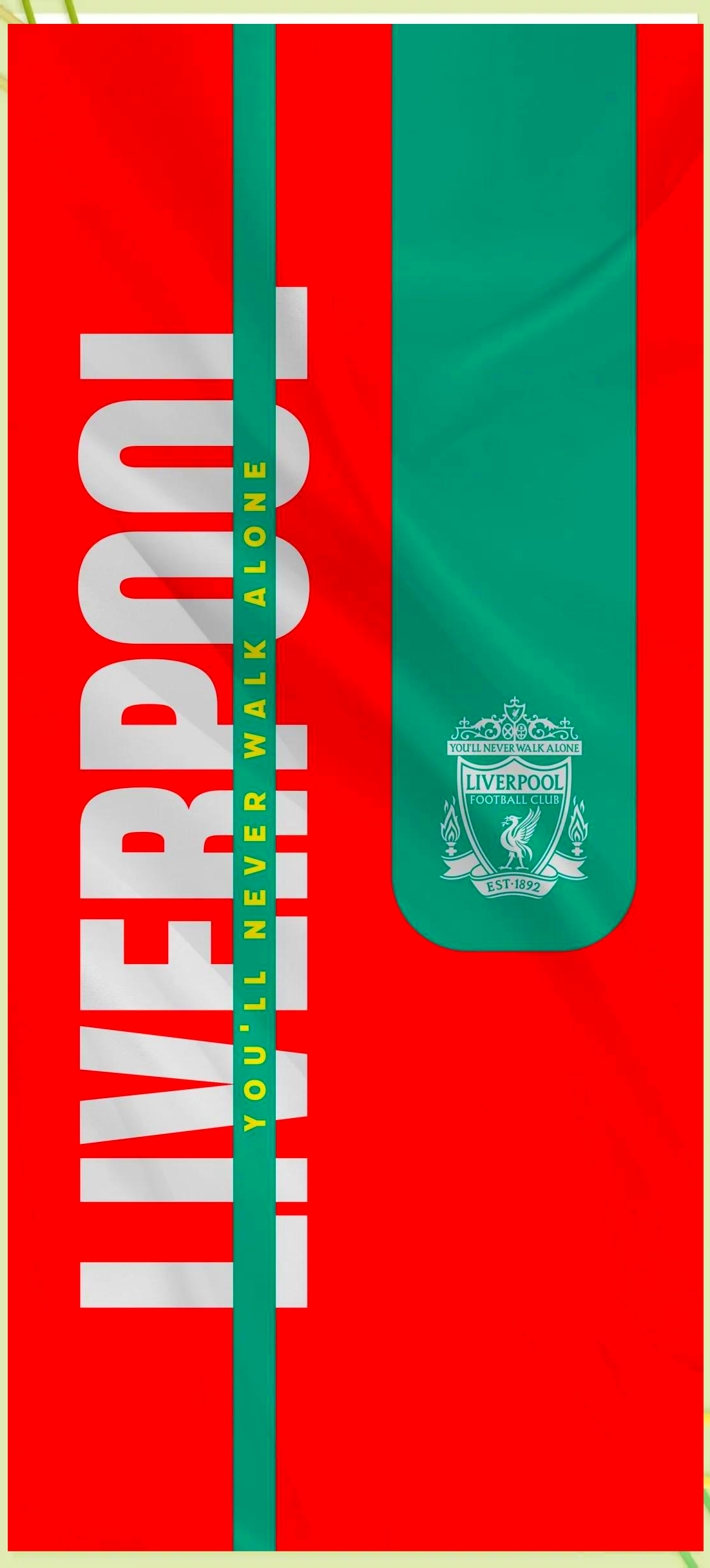 中超外援身 中超外援身